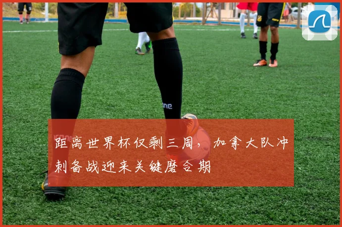 距离世界杯仅剩三周，加拿大队冲刺备战迎来关键磨合期