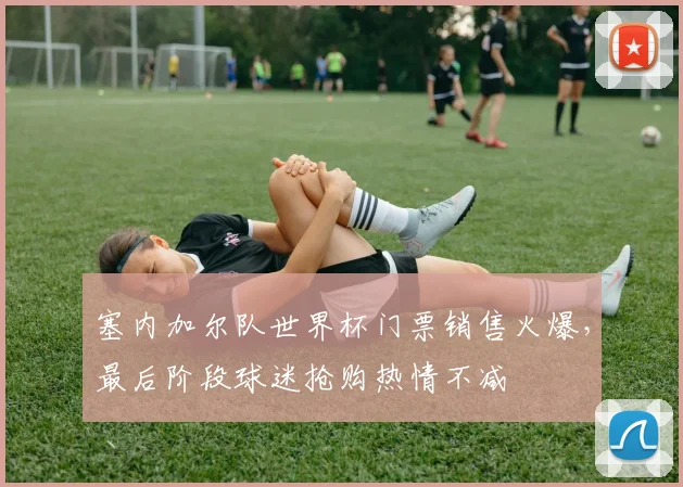 塞内加尔队世界杯门票销售火爆，最后阶段球迷抢购热情不减