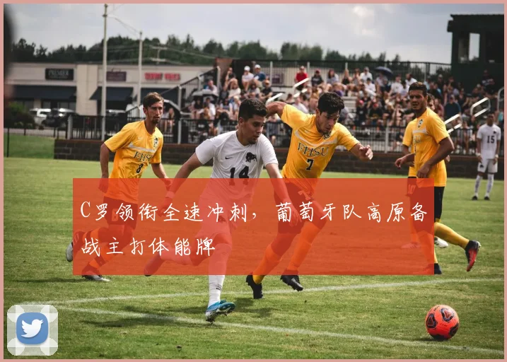 C罗领衔全速冲刺，葡萄牙队高原备战主打体能牌