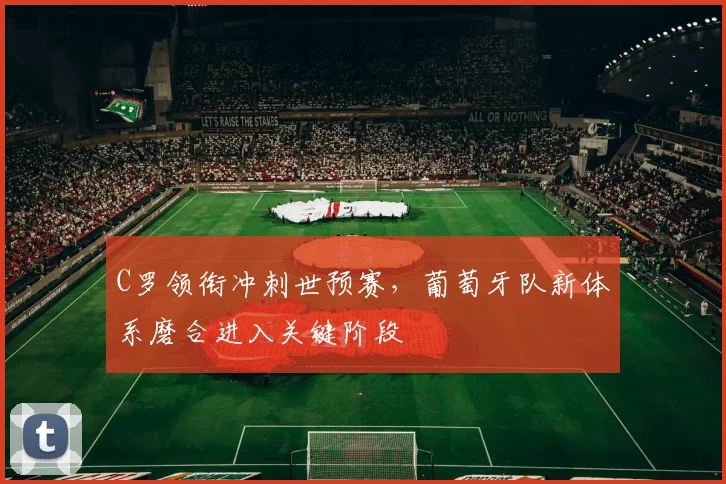 C罗领衔冲刺世预赛，葡萄牙队新体系磨合进入关键阶段